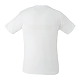 (M) BODIE SS Tee White BackOFF