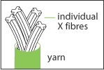 Individual X fibres.