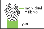 Individual Y fibres.